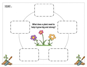 Preview of What does a plant need to grow