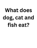 What does dog, cat, and fish eat activity