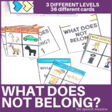 What Does Not Belong Category Task Cards for Speech Therap