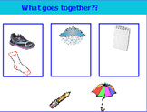 What goes together (a basic sorting and categorizing activity)