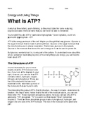 What is ATP? (Reading Comprehension)