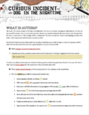 What is Autism? Video notes pre-reading activity for Curio