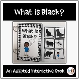"What is Black?" An Adapted Speech Therapy Book About Colors