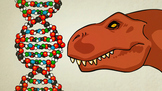 What is DNA and how does it work? - Animation