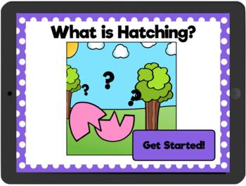 Preview of Distance Learning What is Hatching? Adapted Book Interactive PDF