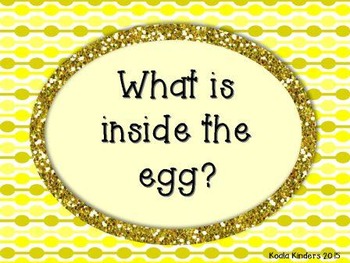Preview of What is Inside the Egg?