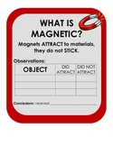Simple Magnet Experiment: Which Materials are Magnetic- Pr