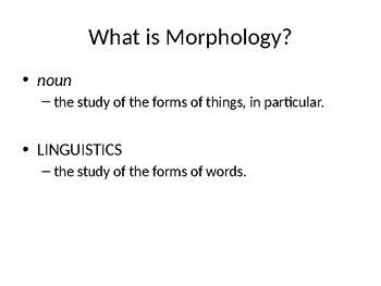 Preview of What is Morphology? - Basic Introduction Power Point