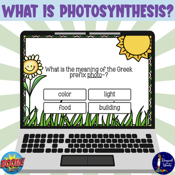 Preview of What is Photosynthesis? BOOM Cards