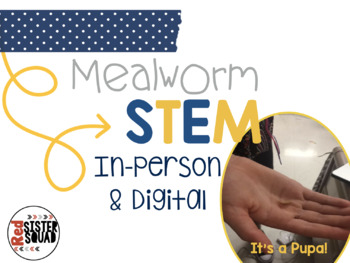 Preview of Mealworms Unit: In-Person & Digital