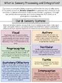 What is Sensory Processing?