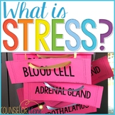 What is Stress Classroom Guidance Lesson on Stress Respons