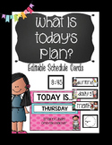 What is The Plan Today?Editable Schedule Cards (Black)
