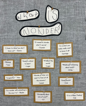 Preview of What is Wonder? Inquiry Overview