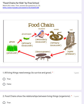 Preview of What is a Food Chain? Google Form Video Notes activity organisms and environment