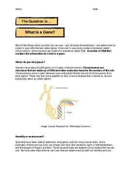 Preview of What is a Gene? (With Claims-Evidence-Reasoning Question)