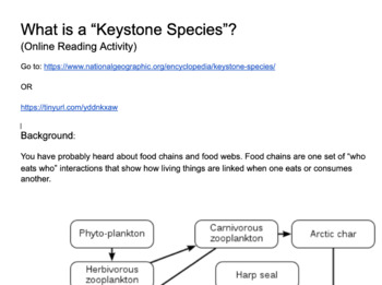 What is a Keystone?