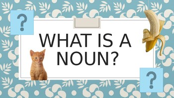 Preview of What is a Noun? Interactive Power Point