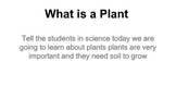 What is a Plant packet