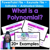 What is a Polynomial PowerPoint/Keynote Presentation