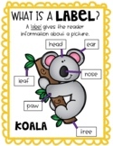 What is a label? Printable Anchor Chart