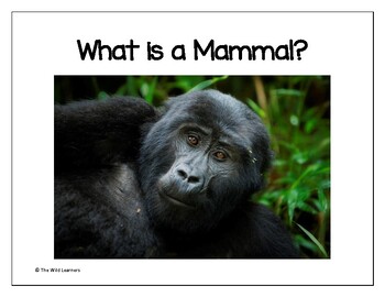 Preview of What is a mammal? Non-fiction book