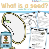 What is a seed | Plant Parts Free Sampler