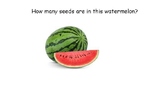 What is a small moment? (Watermelon and Seed Activity)