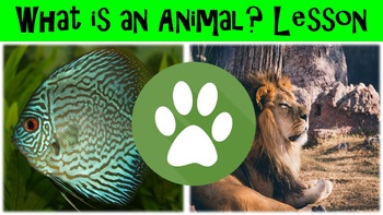 Preview of What is an Animal? Lesson with Power Point, Worksheet, and Review Questions