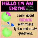 What is an Enzyme Song and Video Worksheet