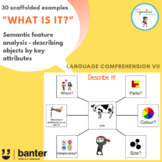 What is it? Semantic feature analysis - describing objects