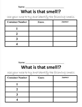 Preview of What is that smell? Testing students' sense of smell