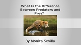 What is the Difference between Predators and Prey Powerpoint PPT