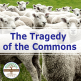 The Tragedy of the Commons | Video, Handout, and Worksheet
