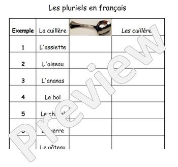 Preview of What is the plural? Practising French plurals