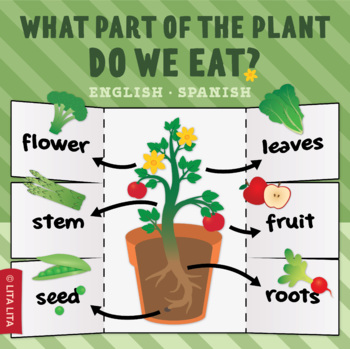 Preview of What part of the plant do we eat? fold & learn