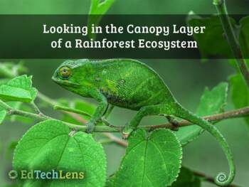 Preview of Looking in the Canopy Layer of a Rainforest Ecosystem PDF Distance Learning