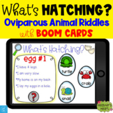 What's Hatching? Oviparous Animal Riddles with Boom Cards