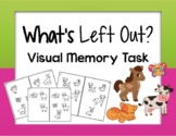 What's Left Out: Visual Memory Task