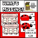 What's Missing Tacts Labels  Autism ABA Therapy  ABLLS-R G28