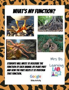Preview of What's My Function? Science Writing Distance Learning Grades 1-5