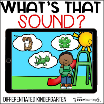 Preview of What's That Sound? Phonemic Guessing Game