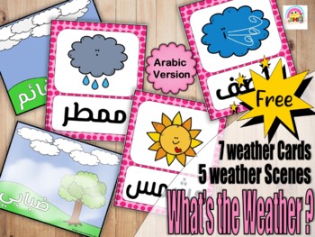 Preview of What's The Weather ?? Weather printable Flash Cards (Arabic Version)