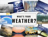 What's Your Weather - Feelings as Weather in Artworks