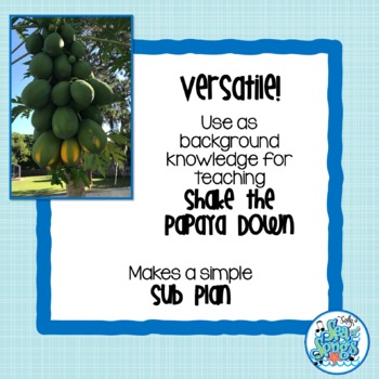 What's a Papaya? Photos to Engage Students with Shake the Papaya Down -  Sally's Sea of Songs