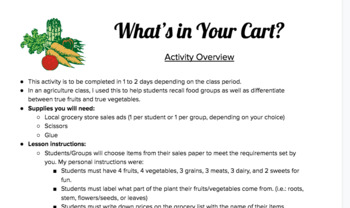 Preview of What's in Your Grocery Cart? Fruits & Vegetables/Food Groups/Life Skills Project