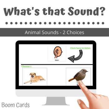 What's that Sound: Animal Sounds (Field of 2) BOOM CARDS by OT Sparkle