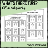 What's the Picture? CVC worksheets