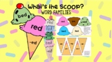 What's the Scoop on Word Families?
