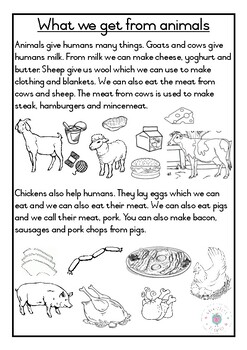What we get from animals. Reading, Phonics, Language and Vocabulary